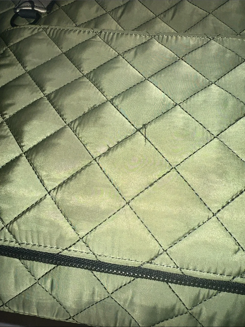 Maxbone Quilted Olive Green pet carrier with Branded Strap